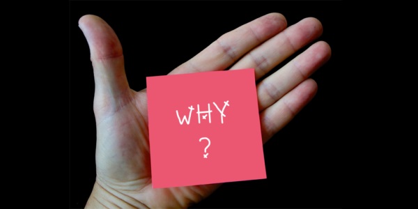 why-game-600x300